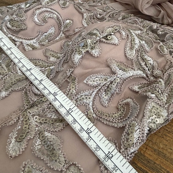 Alex Evenings Champagne Embroidered Tulle Gown - Picture 8 of 10